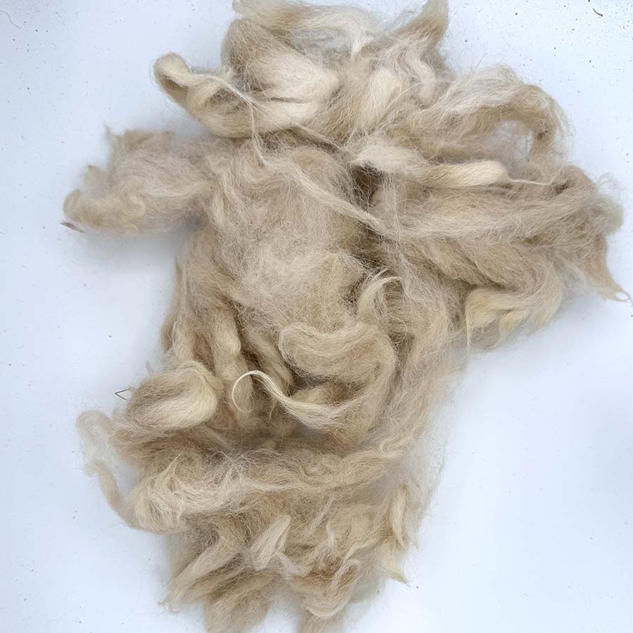 Unwashed Huacaya Alpaca Fleece #60 – Pale Peach Beige – 50g