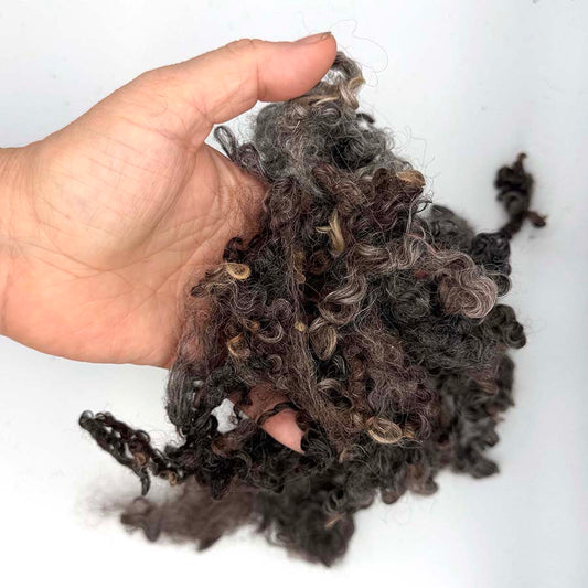Natural Brown Wensleydale (80) Wool Locks Mixed Shades |28g Fleece