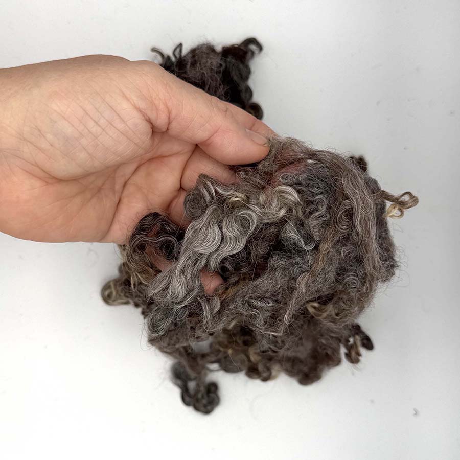 Natural Grey Wensleydale (85) Wool Locks Mixed Shades |28g Fleece
