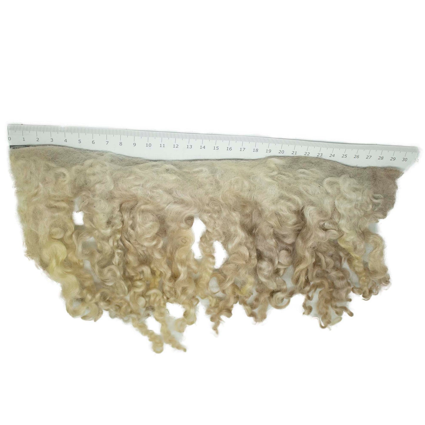Cream Wool Locks on Cloth (01) - Wensleydale | Needle Felting Supplies UK