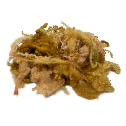 Mixed Wool Locks Orange, Ginger and Peach (93) Fleece | 14g