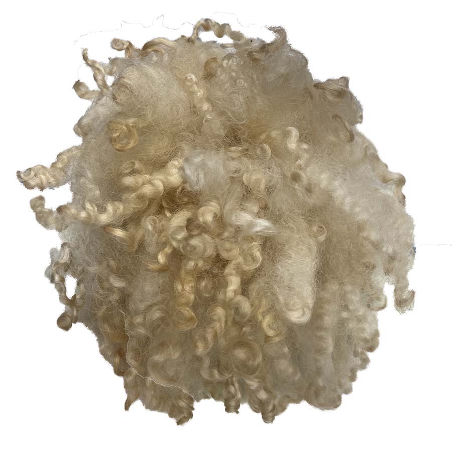 Curly Wool Locks on Cloth (05)- White Cream | 150cm