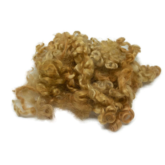 Curly Locks Wensleydale (90) Wool Locks Mixed Ginger Shades |14g Fleece