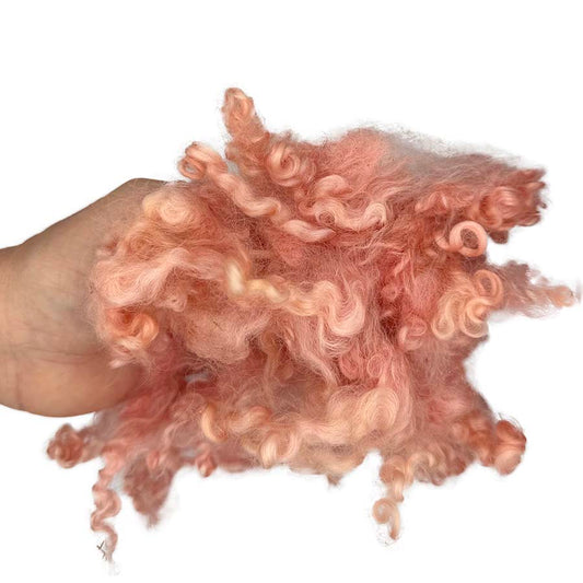 Peachy pink curly wool locks held in hand to show colour and texture