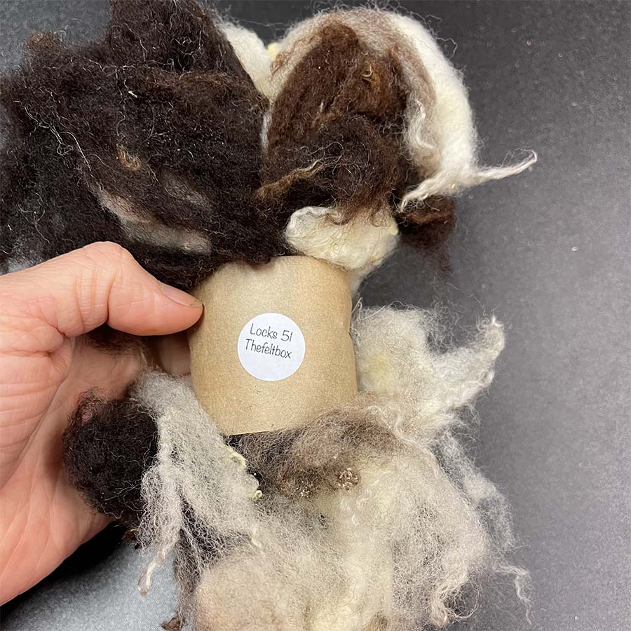 Wool Locks Fleece Jacob Brown and Cream 28 g