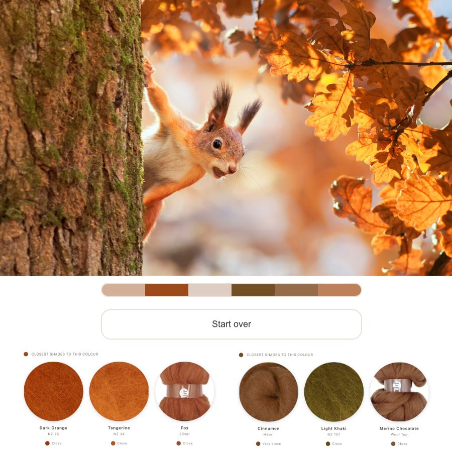 A warm autumn-themed product image featuring a squirrel clinging to a tree trunk with orange and yellow leaves in the background. Below the scene is a color palette labeled 'Start over' with swatches and labels including Dark Chocolate, Tangerine, Fox, Cinnamon, Light Khaki, and Marine Chocolate.