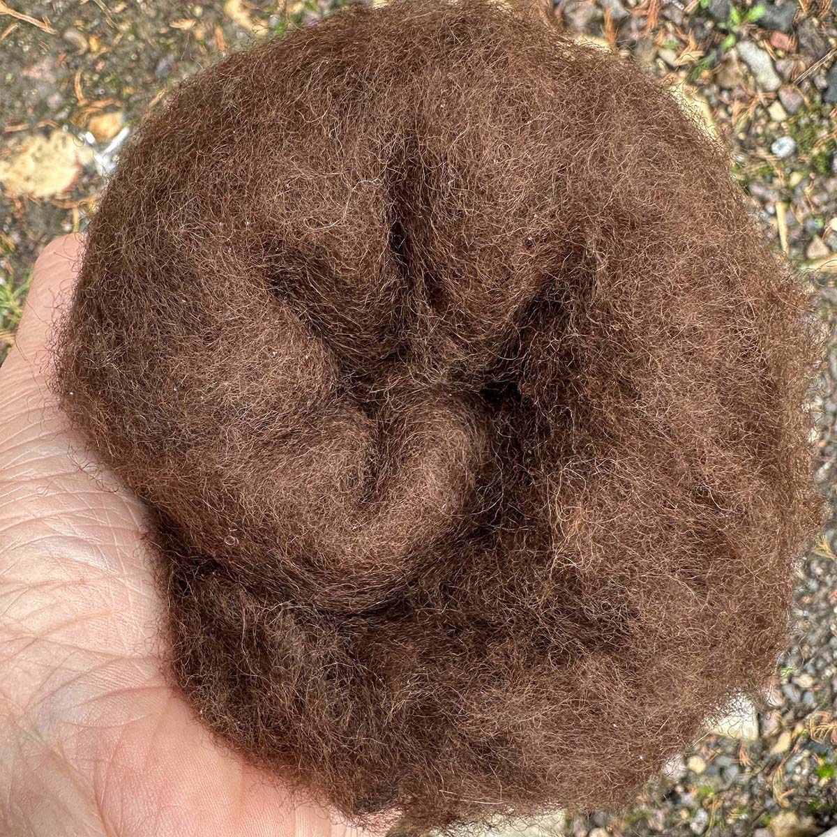 Carded Wool For Felting, Needle Felting Batting, Coffee ( 24 )