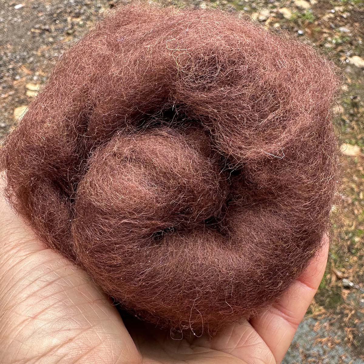 Carded Wool For Felting, Needle Felting Batting, Dark Chocolate ( 43 )