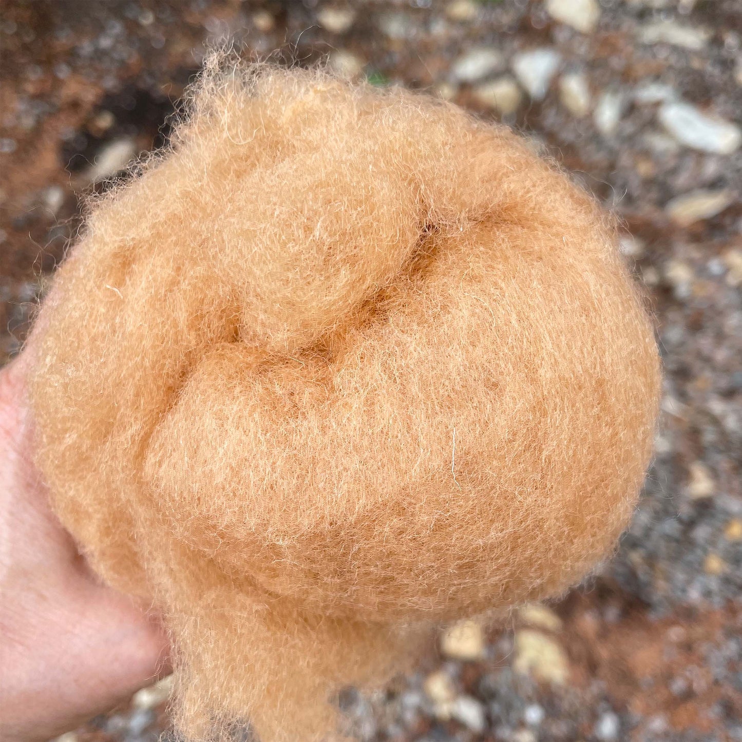 Carded Felt Wool Needle Felting Carded Batt Brown Beige Tan Maori DHG Bread