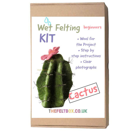 Wet Felting Kit. Beginners. Plant Cactus
