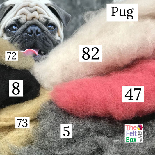 Felting Wool Set Pug Dog Wool Only 50g