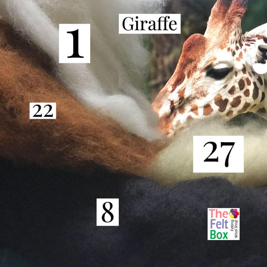 Felting Wool Set Giraffe Wool Only 50g