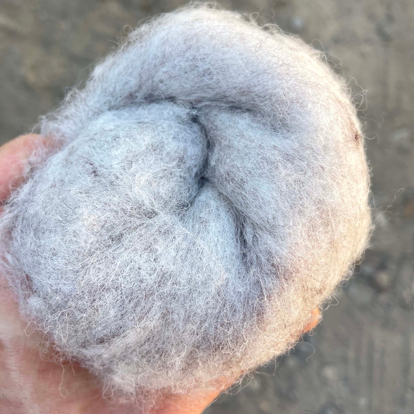 Carded NZ Wool For Needle Felting Batts - Hint of Brown #101