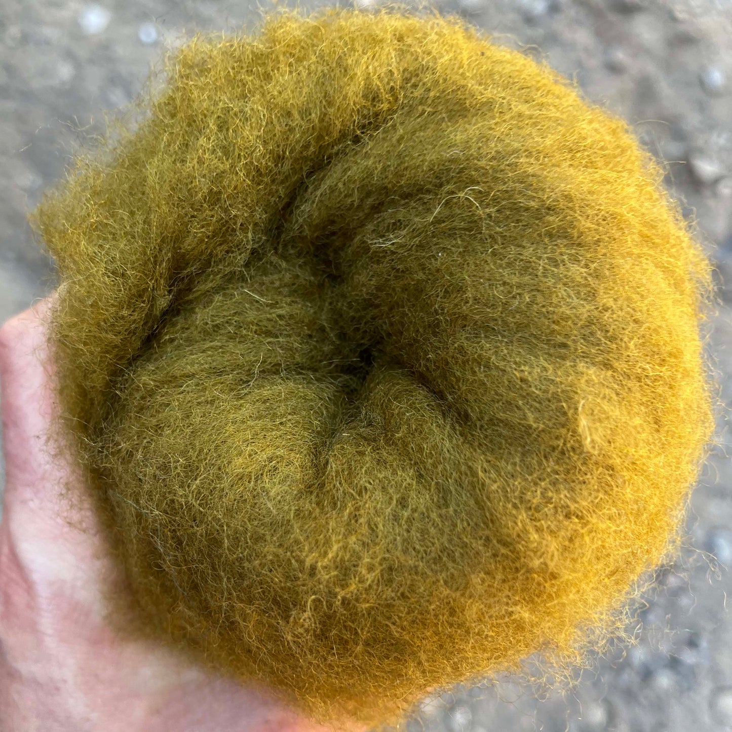 Carded NZ Wool For Needle Felting Batts - Light Khaki #107