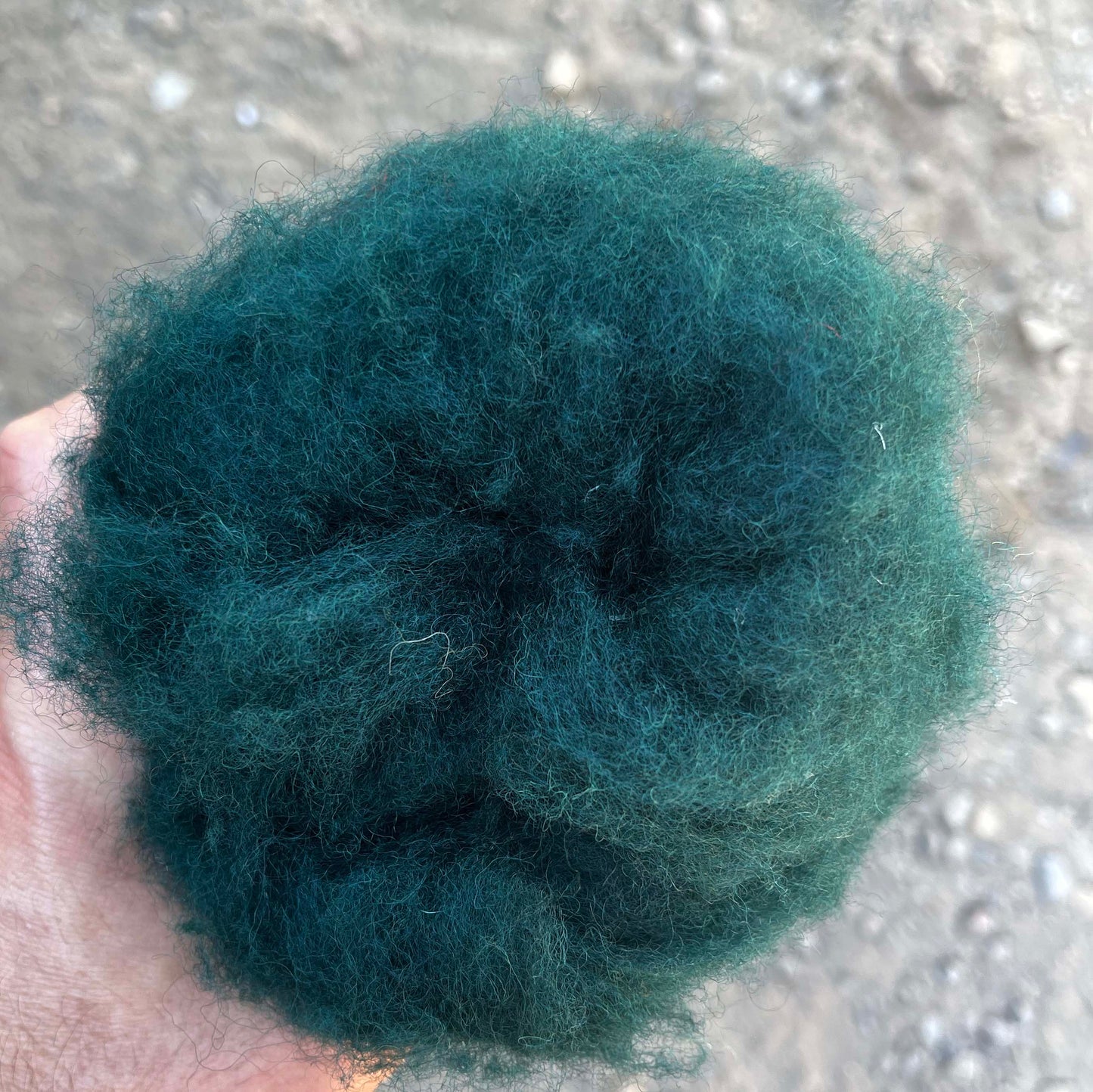 Carded NZ Wool For Needle Felting Batts - Bottle Green #109