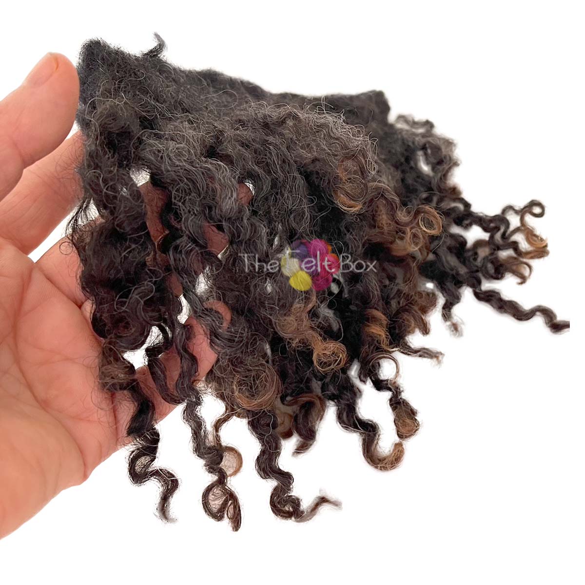 Curly Wool Locks on cloth, Wensleydale Brown
