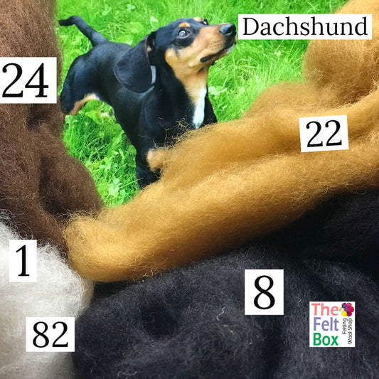 Felting Wool Set Dachshund Wool Only 50g