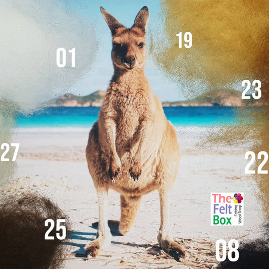 Felting Wool Set Kangaroo Wool Only 50g