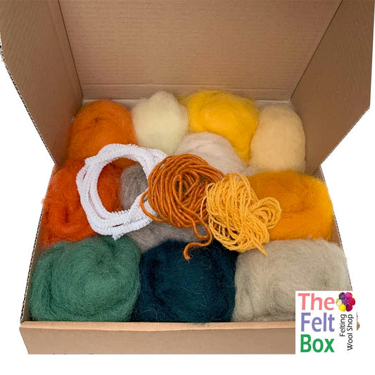 Needle Felting Wool Selection Box Autumn Squashes Pumpkins
