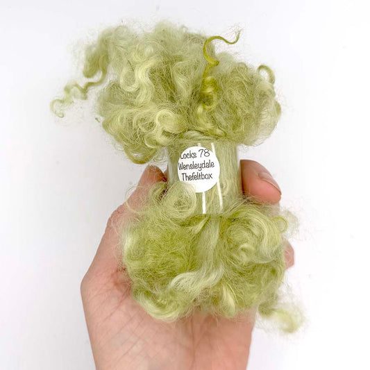 Wensleydale Light Green Wool Locks #78 Fleece | 14g