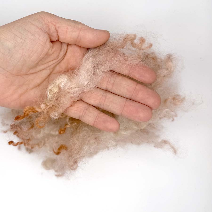 Wensleydale Beige Wool Locks #53 Fleece | 14g