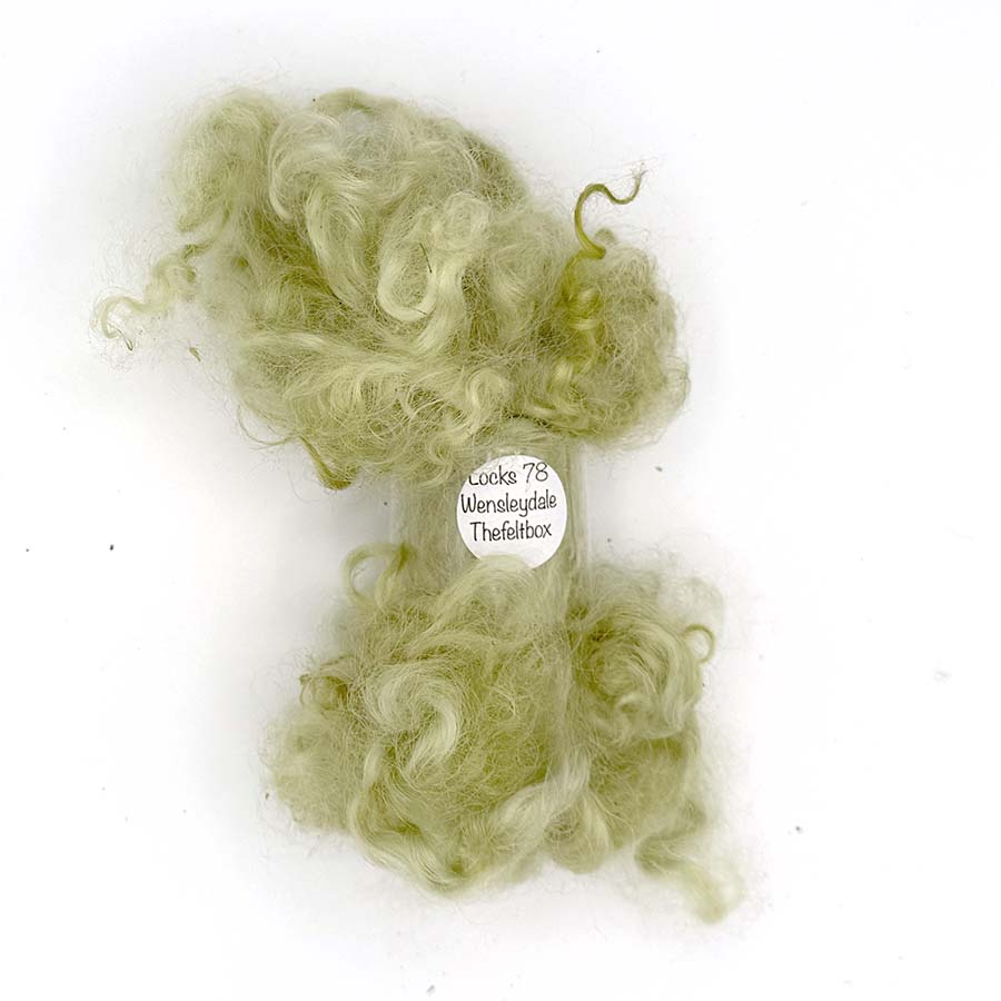 Wensleydale Light Green Wool Locks #78 Fleece | 14g