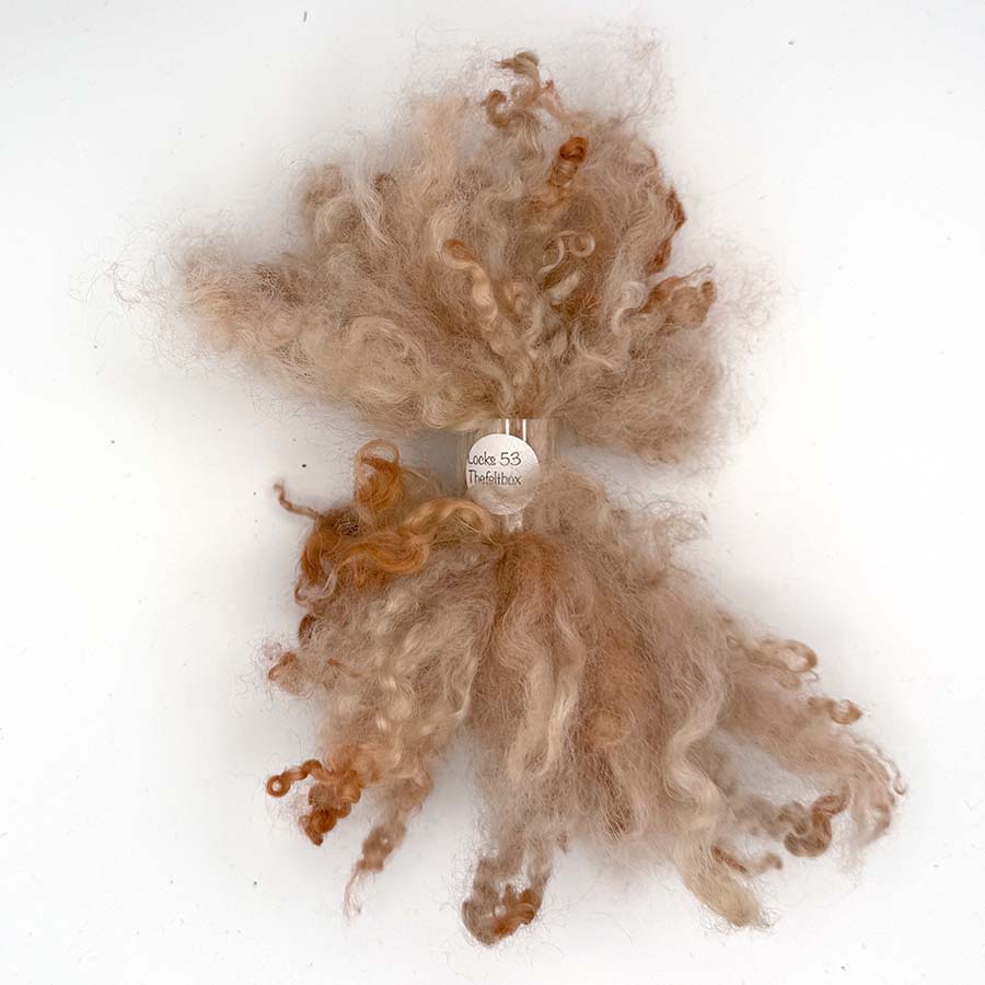 Brown curly fiber on a white background