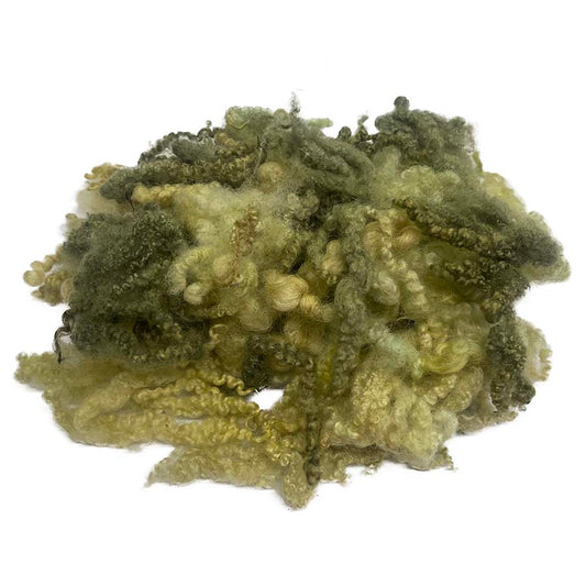 Bluefaced Leicester Wool Locks (57) Fleece Green 14 g