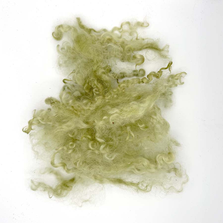 Wensleydale Light Green Wool Locks #78 Fleece | 14g