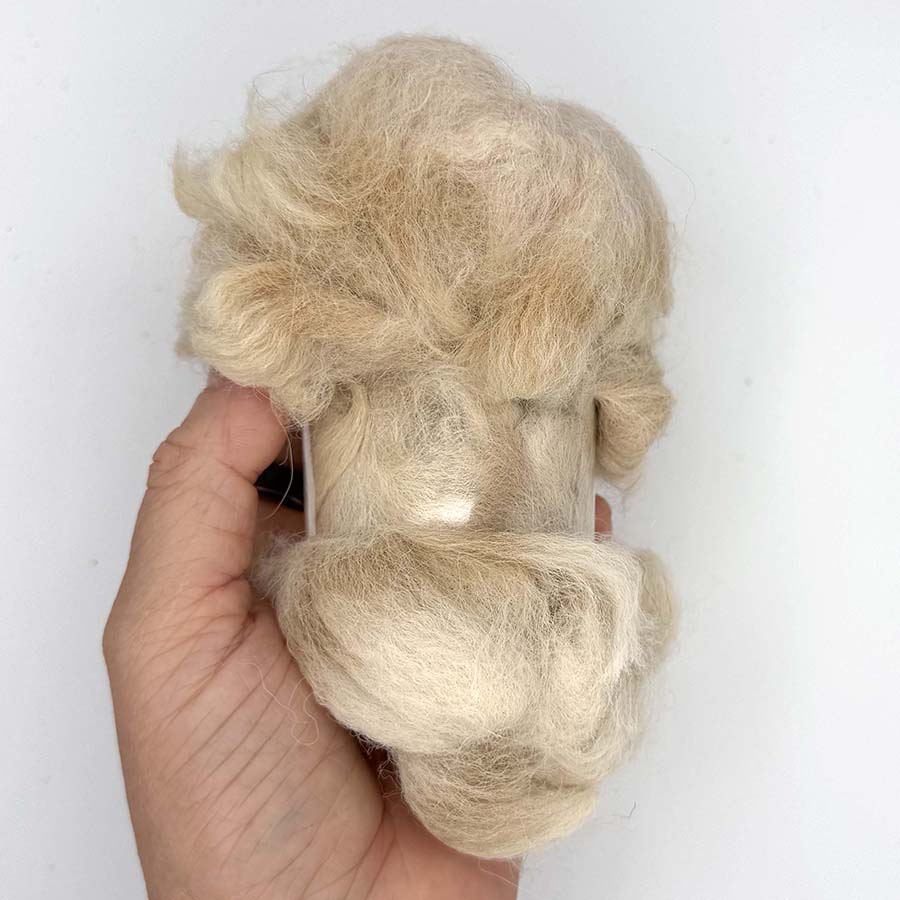 Unwashed Huacaya Alpaca Fleece #60 – Pale Peach Beige – 50g