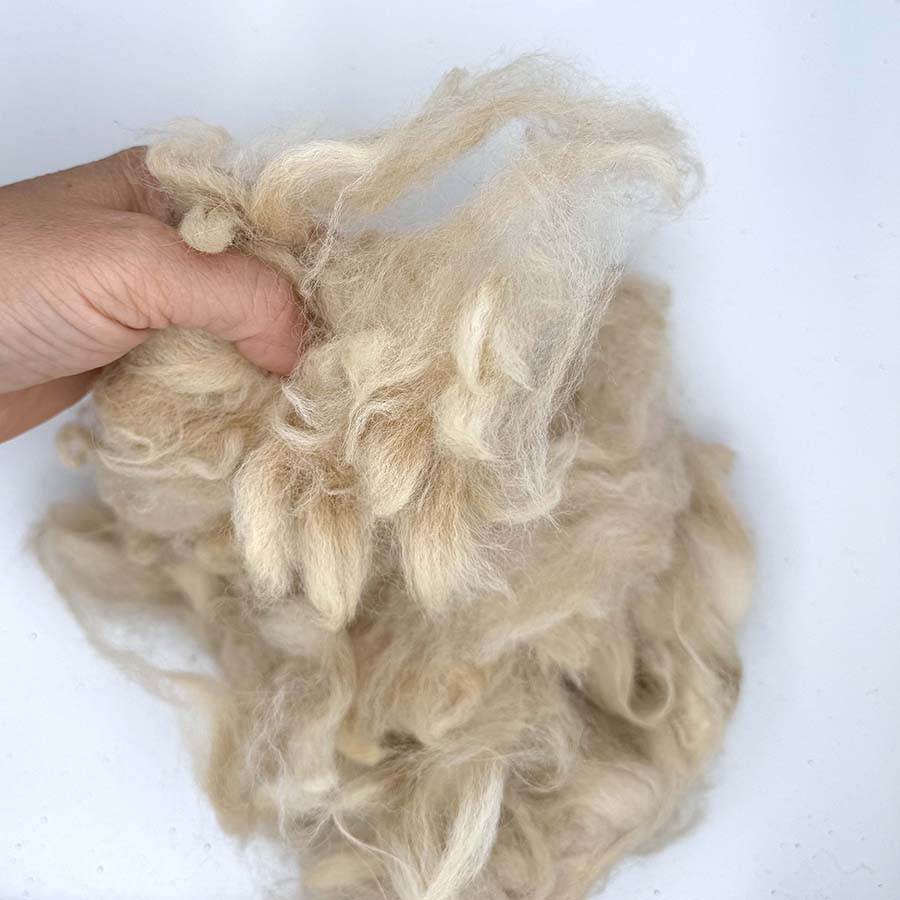 Unwashed Huacaya Alpaca Fleece #60 – Pale Peach Beige – 50g