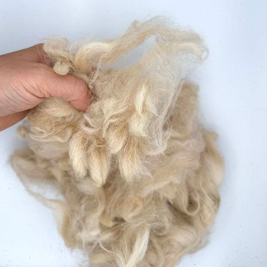 Unwashed Huacaya Alpaca Fleece #60 – Pale Peach Beige – 50g