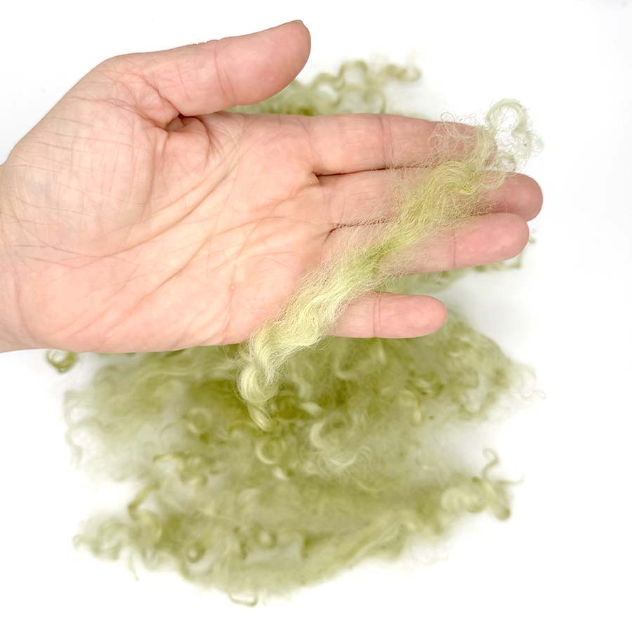 Wensleydale Light Green Wool Locks #78 Fleece | 14g