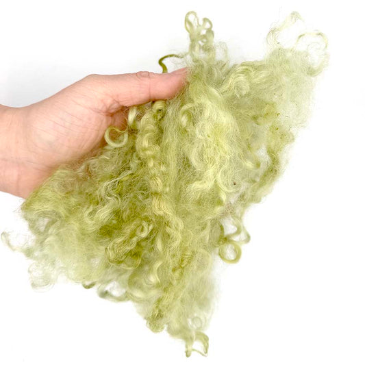 Wensleydale Light Green Wool Locks #78 Fleece | 14g