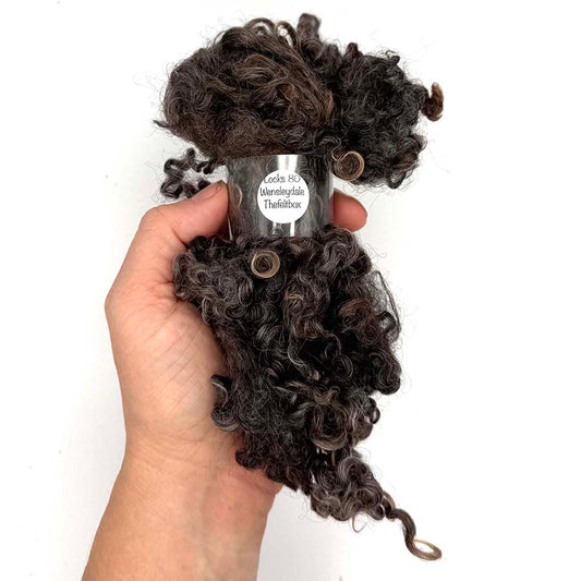 Natural Brown Wensleydale (80) Wool Locks Mixed Shades |28g Fleece