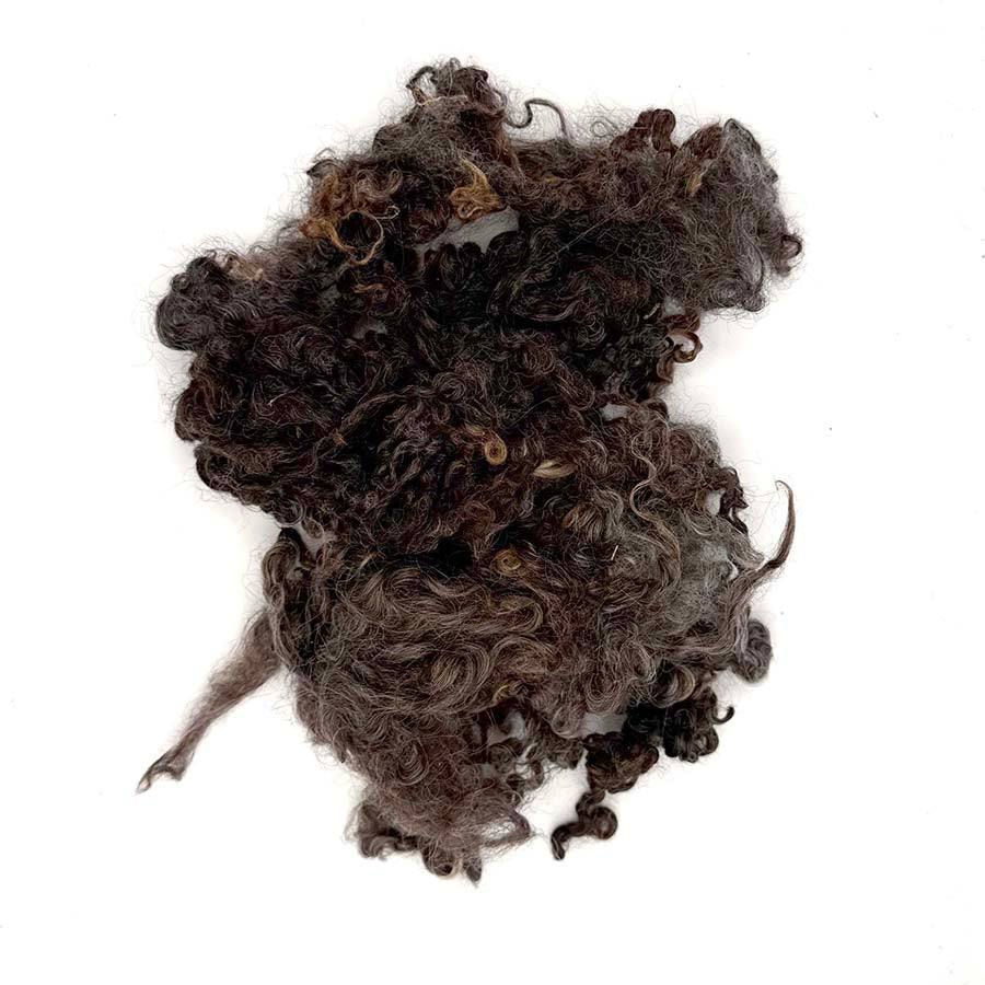 Natural Brown Wensleydale (80) Wool Locks Mixed Shades |28g Fleece