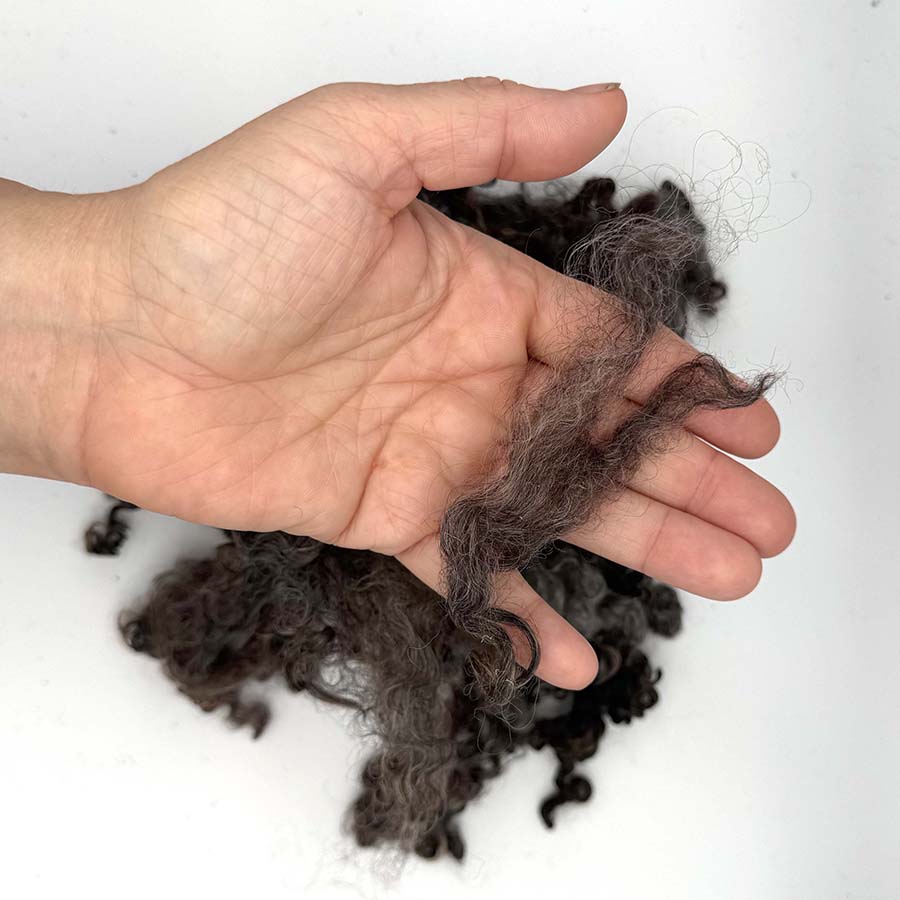 Natural Brown Wensleydale (80) Wool Locks Mixed Shades |28g Fleece