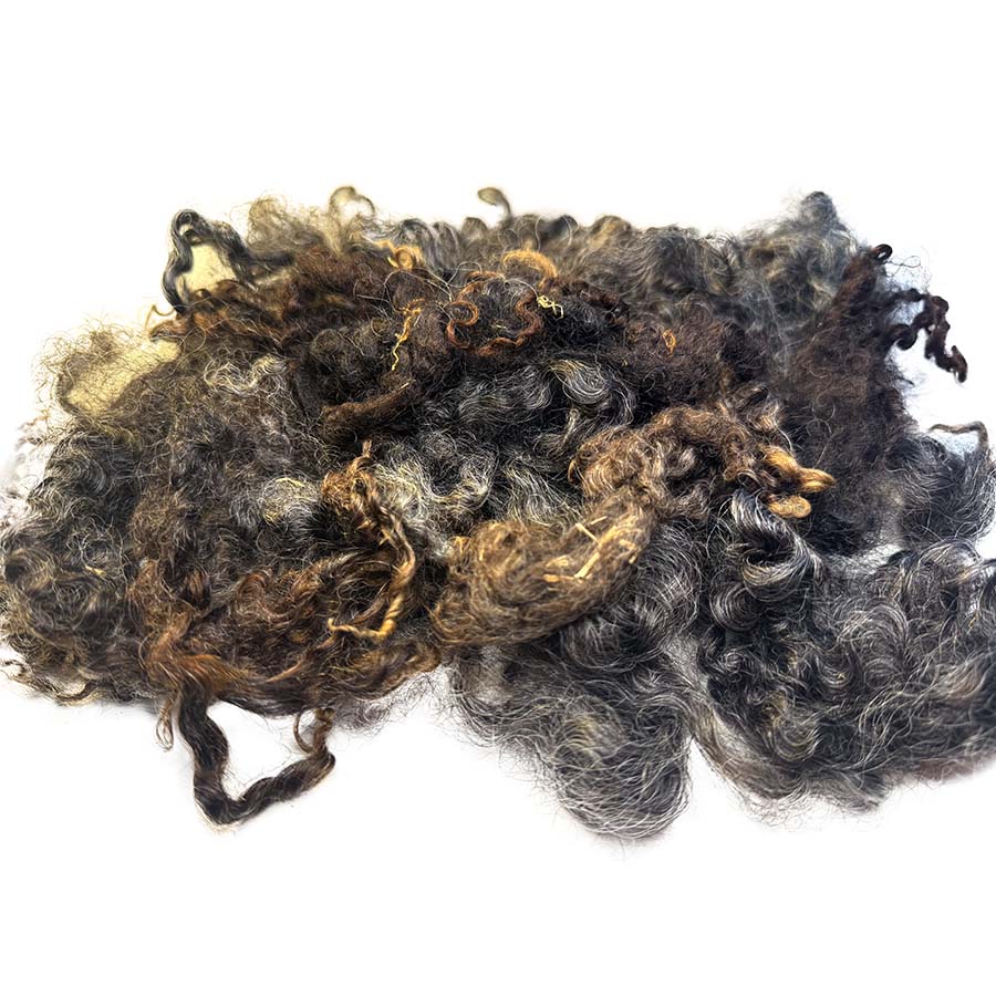 Natural Brown Wensleydale Curly Wool Locks (80) Hand Washed 28 g