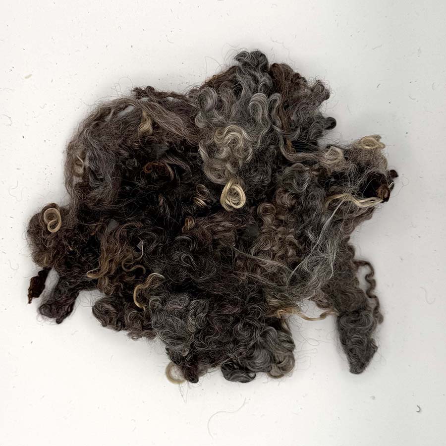 Natural Grey Wensleydale (85) Wool Locks Mixed Shades |28g Fleece