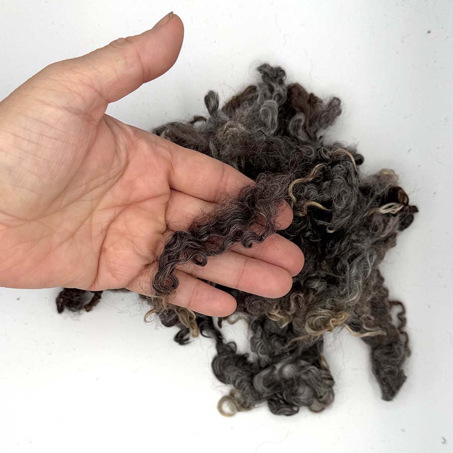 Natural Grey Wensleydale (85) Wool Locks Mixed Shades |28g Fleece
