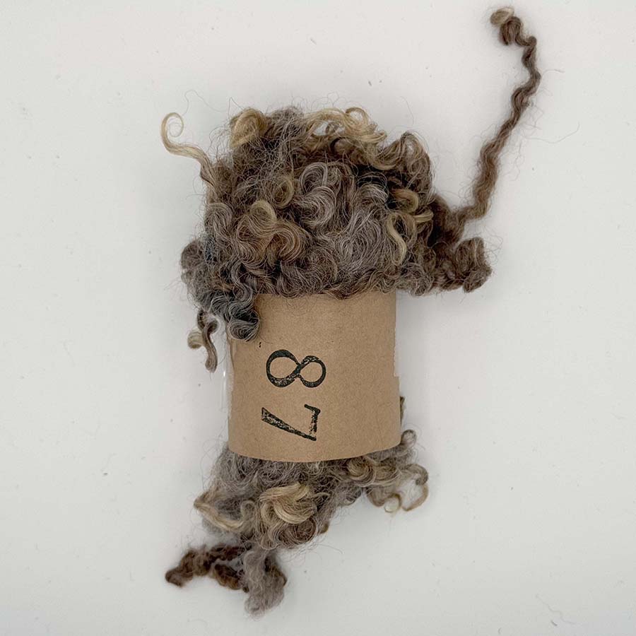 Natural Brown Wensleydale (87) Wool Locks Mixed Shades |28g Fleece