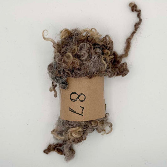 Natural Brown Wensleydale (87) Wool Locks Mixed Shades |28g Fleece