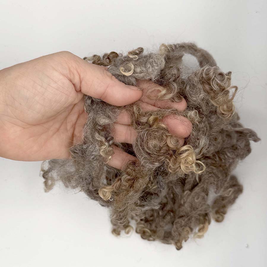 Natural Brown Wensleydale (87) Wool Locks Mixed Shades |28g Fleece