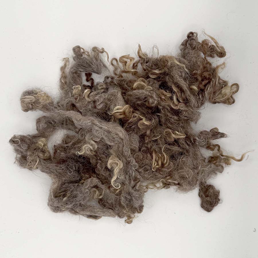 Natural Brown Wensleydale (87) Wool Locks Mixed Shades |28g Fleece