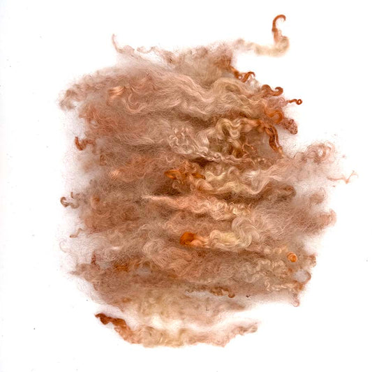 Wensleydale Beige Wool Locks #53 Fleece | 14g