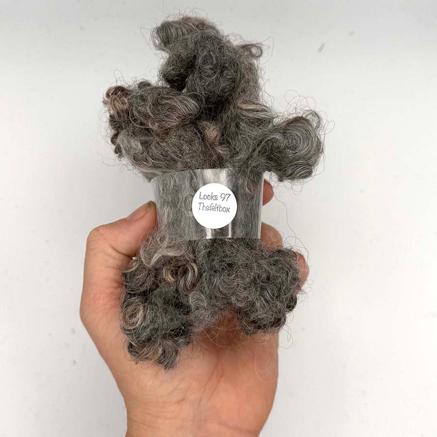 A hand holds a clump of curly gray wool fibers, likely a sample of sheep wool or fiber, with a white circular label reading 'Locks 97 thefeltbox'. The background is a plain white wall.