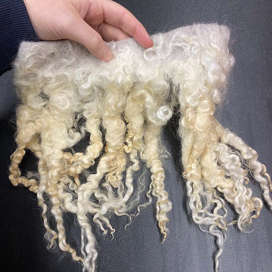 Curly Wool Locks on Cloth (04)- Rustic Cream | Needle Felting Supplies UK