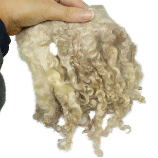 Cream Wool Locks on Cloth (01) - Wensleydale | Needle Felting Supplies UK