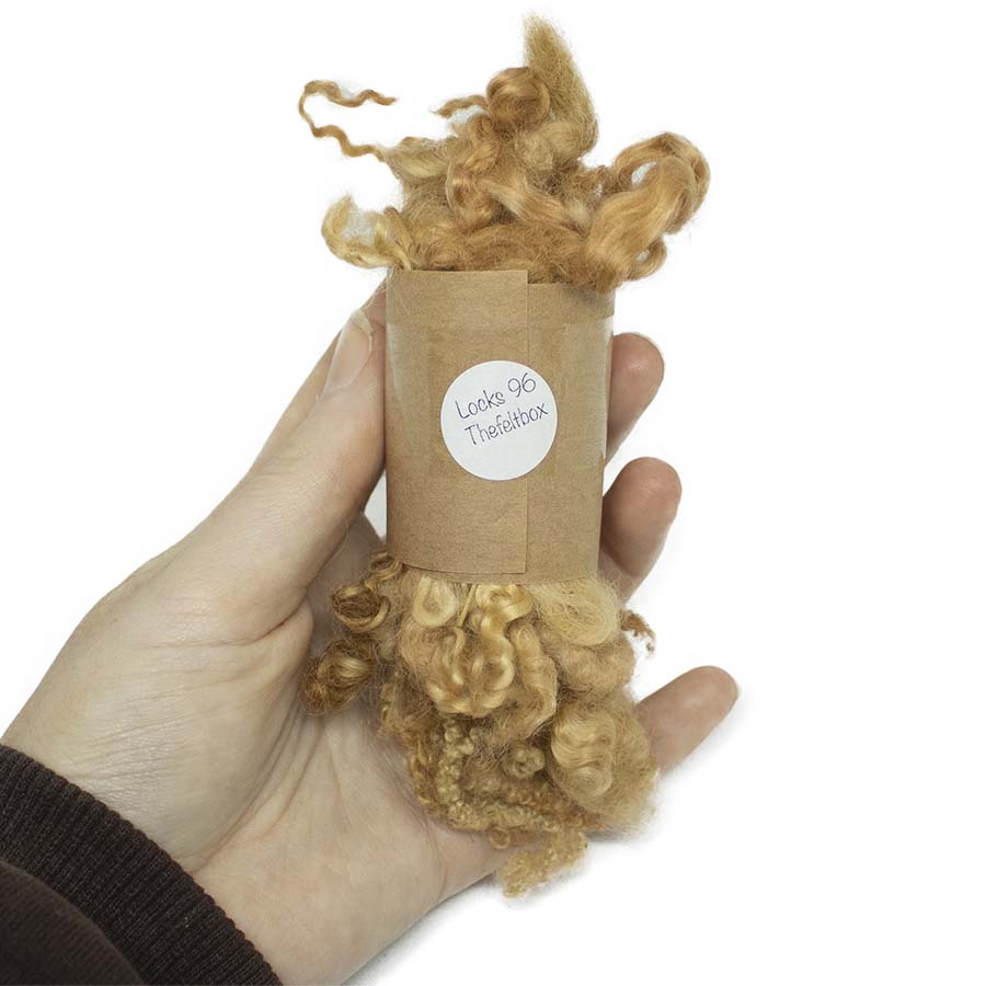 Ginger Cat Mixed Wool Locks (96) Fleece | 14g