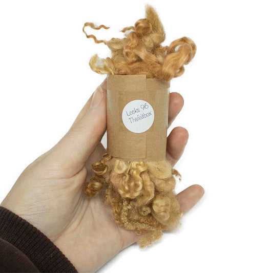 Ginger Cat Mixed Wool Locks (96) Fleece | 14g